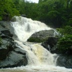 An Adventure Gone Wrong! Part-1